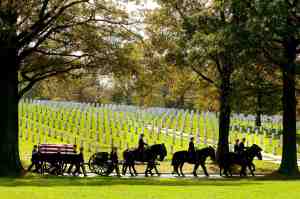 Return of horse-drawn caissons to Arlington National Cemetery delayed