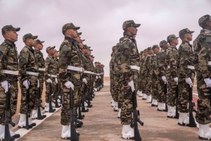 US military works to deepen partnerships in African Lion exercise