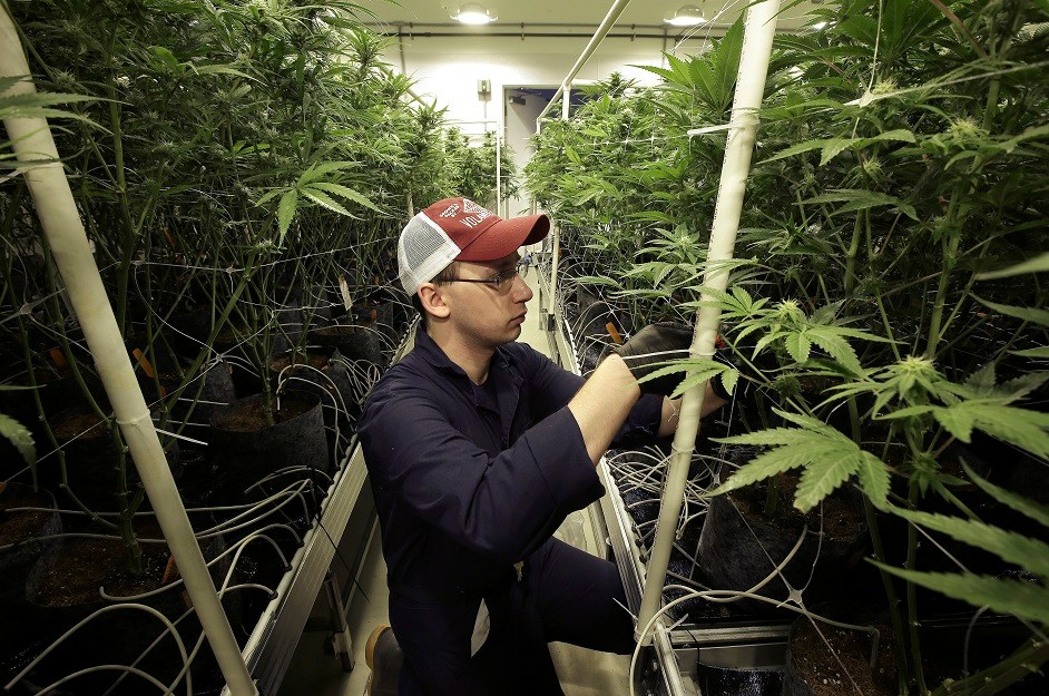 No VA loans for cannabis workers?