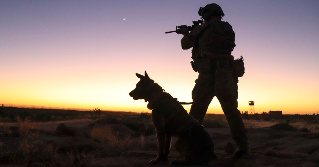Sen. Richard Blumenthal cries havoc, wants to let slip more US-raised dogs of war