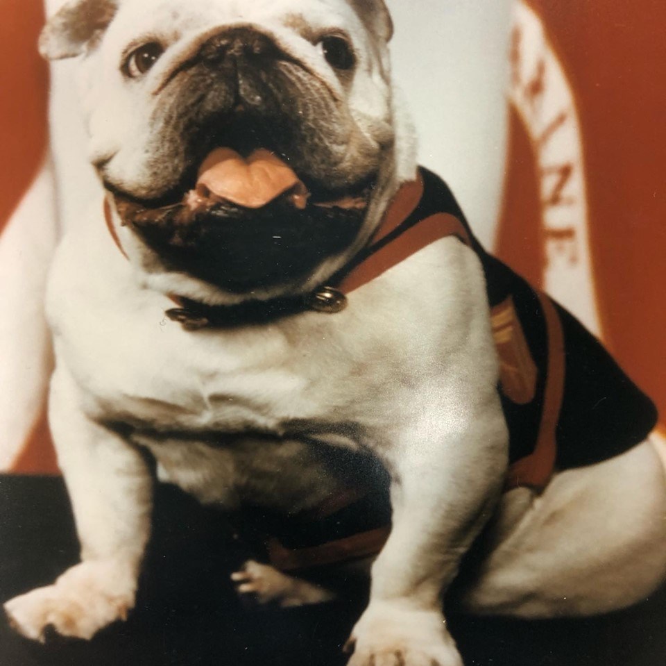 1979 Marine mascot Chesty VI was demoted for destroying government property, among other offenses