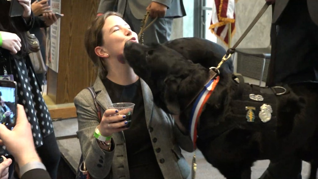Meet the military dogs who received the nation’s top honor