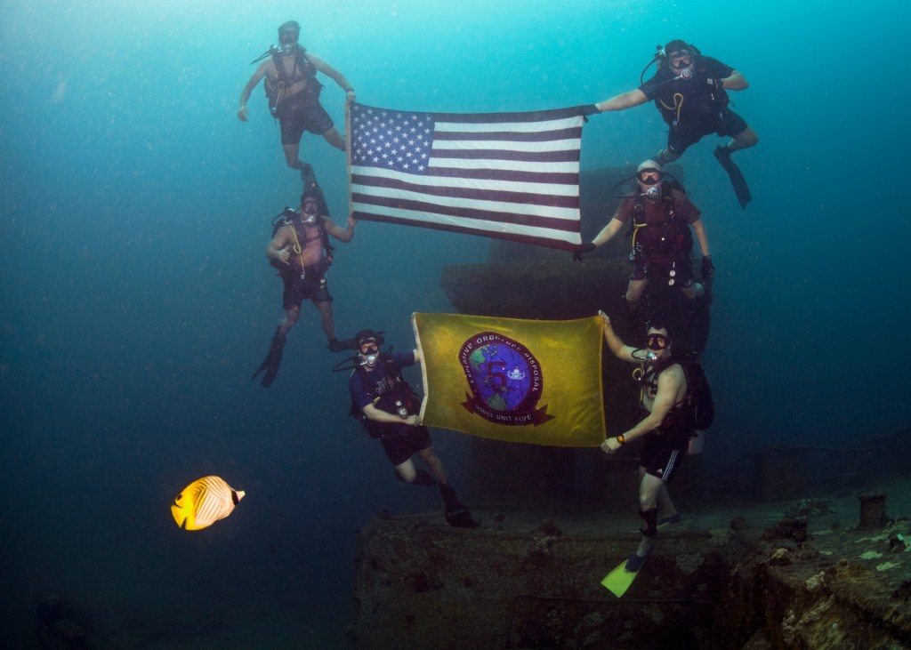 Are robot swarms the future of destroying sea mines?
