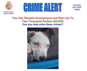 $2K reward for tips after Marine veteran shot, dog stolen