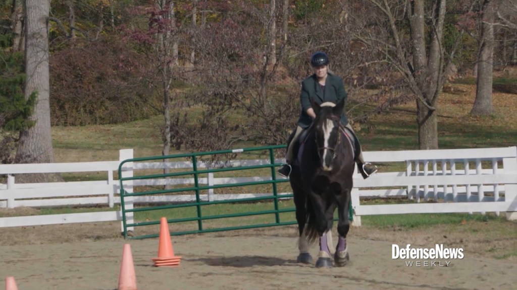 Equine therapy