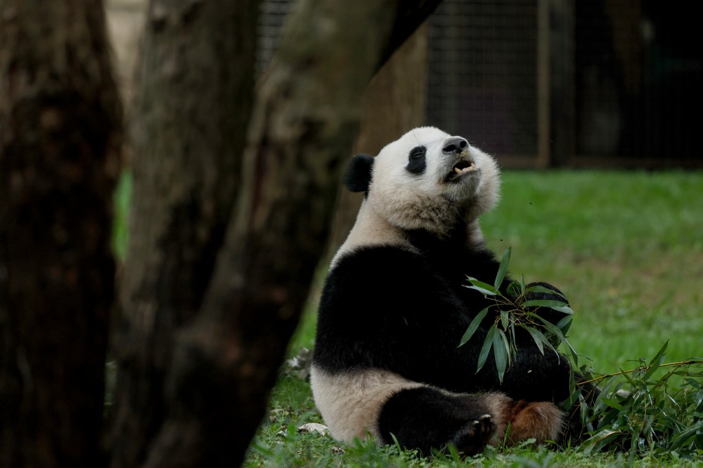 National Zoo closed by bomb threat