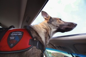 A VA hospital barred a veteran’s service dog. After the vet’s suicide, it changed its policy