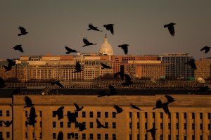 What’s the key to better defense contracting? Measure what works.