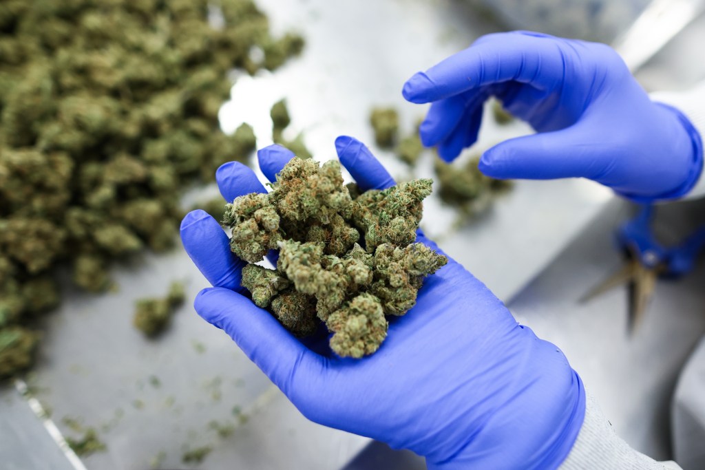 Trump order would allow more VA research on medical marijuana
