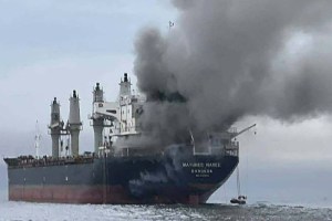 Two India carriers secure safe passage through Strait of Hormuz