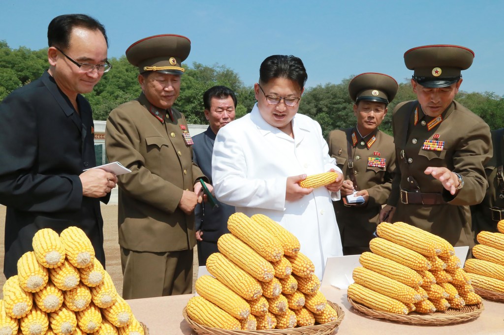 Nuclear tests or corn harvests? Making sense of North Korea satellite imagery