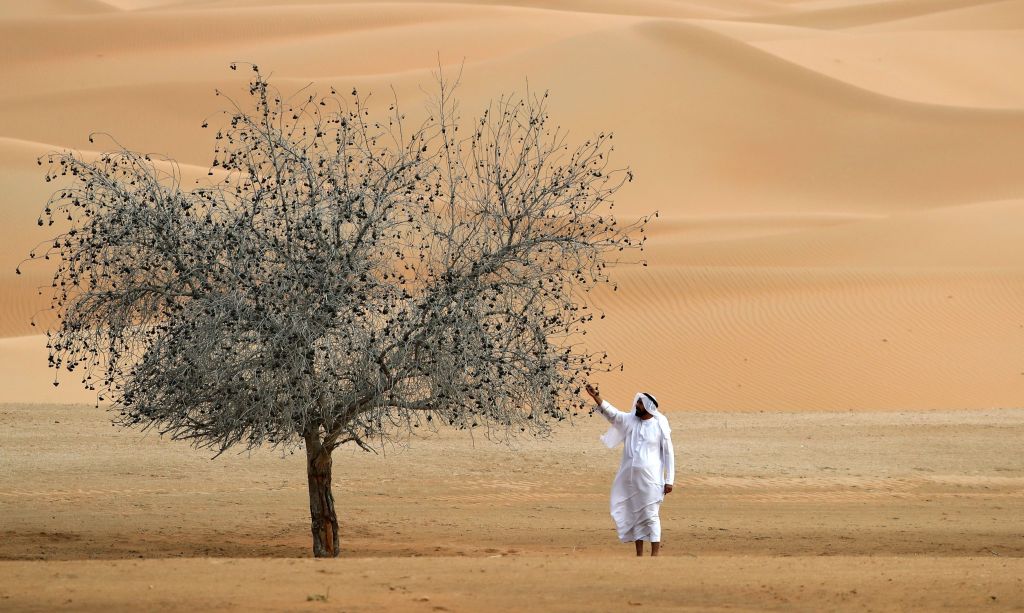 UAE pursues better border security collaboration, more domestic capabilities