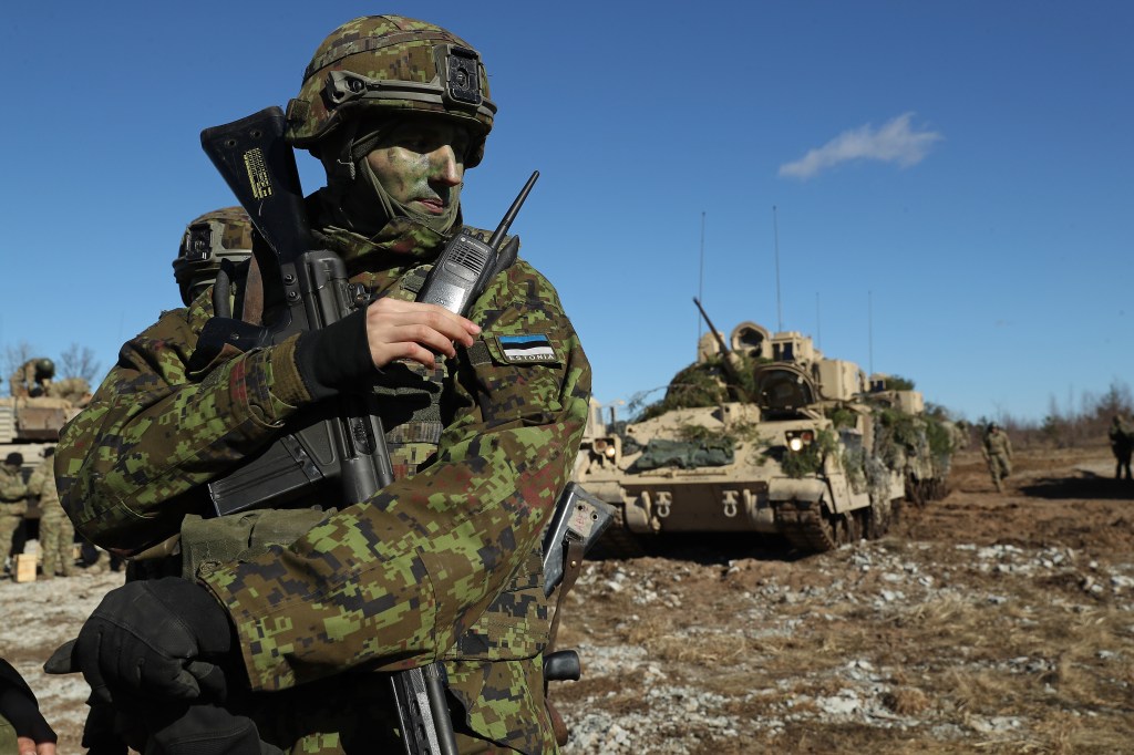 Estonian official: Cyber must be part of core military education