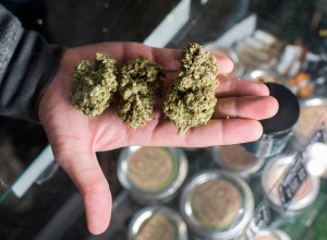 Bill would launch clinical trials on cannabis use for vets pain, PTSD