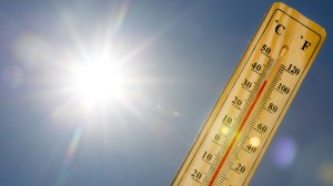 Massive heat wave prompts concerns for feds’ health