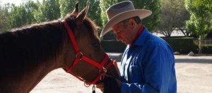 ‘Horse whisperer’ helps veterans with PTSD on Military Channel