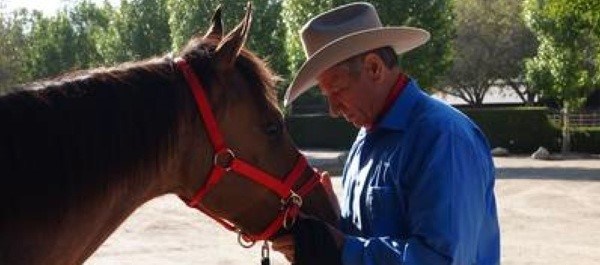 ‘Horse whisperer’ helps veterans with PTSD on Military Channel