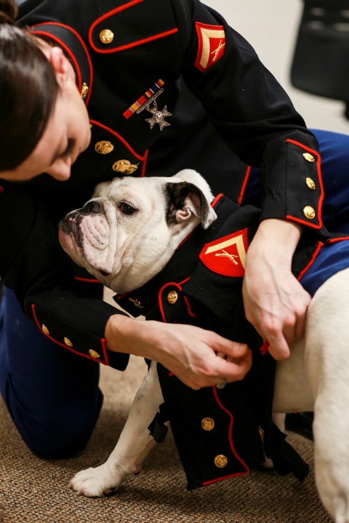 Marine killed on South Carolina highway after stopping to help with a car crash