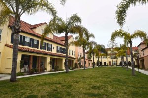 Judge rules jury’s award of $2 million in mold case for military family is  ‘excessive’