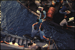 Veterans Month: Remembering Vietnam