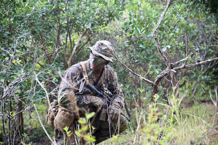 New in 2019: Jungle jammies are coming this summer