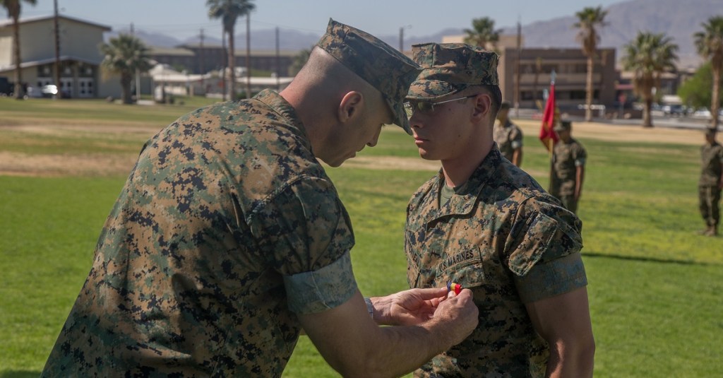 Marine awarded Navy and Marine Corps Medal for rescuing child drowning in river