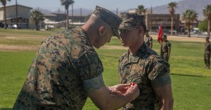 Marine awarded Navy and Marine Corps Medal for rescuing child drowning in river