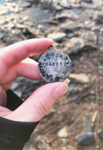 Woman finds long-lost WWII and later dog tags on Alaska beach