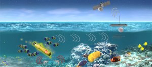 Can sea creatures see enemy submarines from the sea floor?