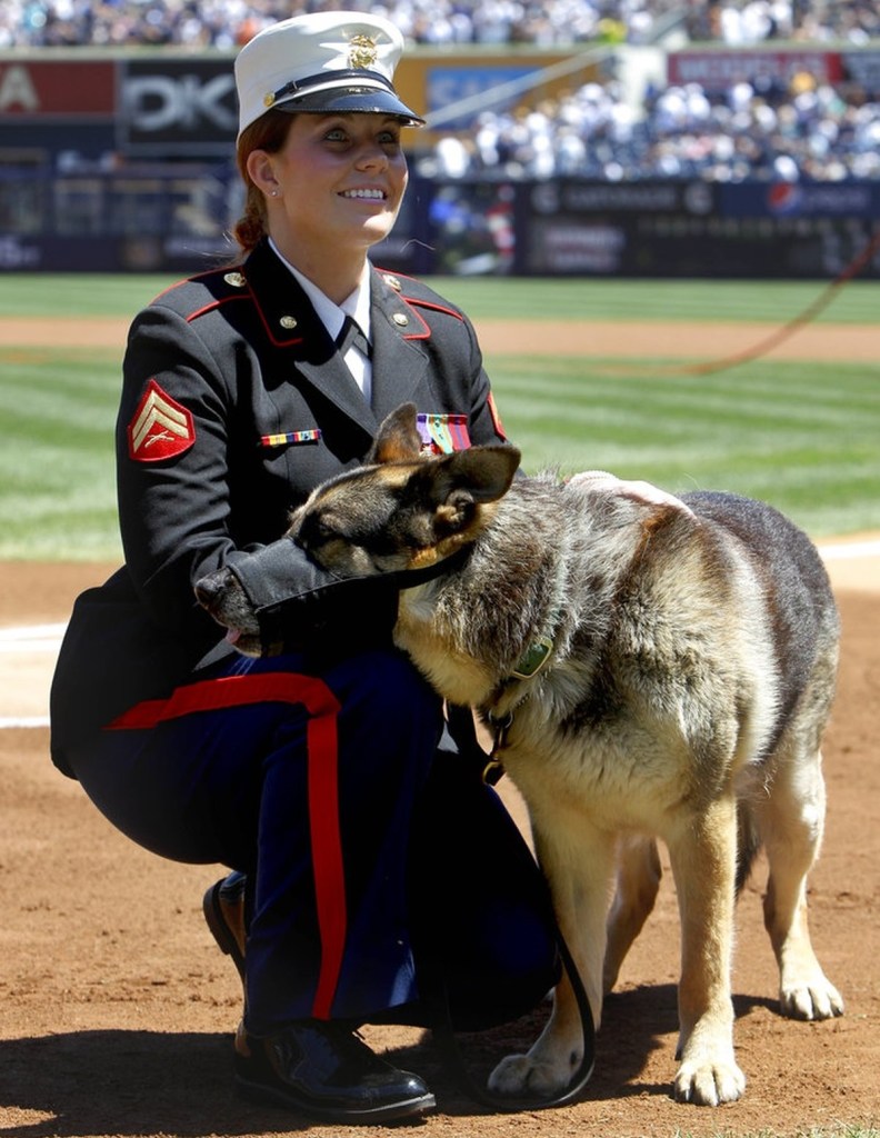 Honors for Iraq vet, K-9 portrayed in film ‘Megan Leavey’