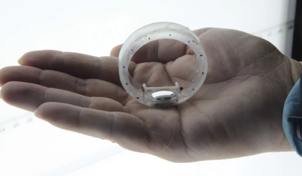 Researchers in China and Australia want to reinvent the wheel