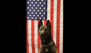 An Army Ranger dog was killed while saving soldiers’ lives in Afghanistan
