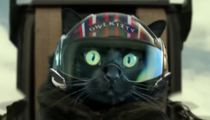 ‘Top Gun’ reimagined with a cat is purrrrfection