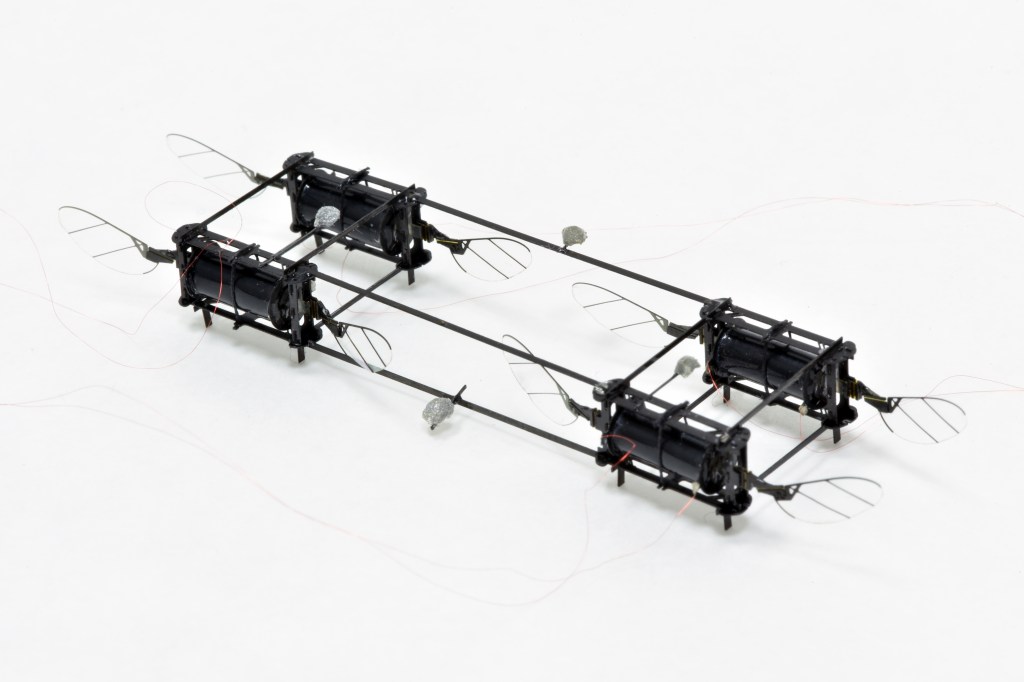 Robot bees take flight, will need to lose tethers