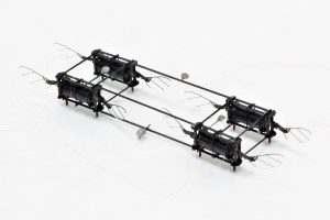 Robot bees take flight, will need to lose tethers