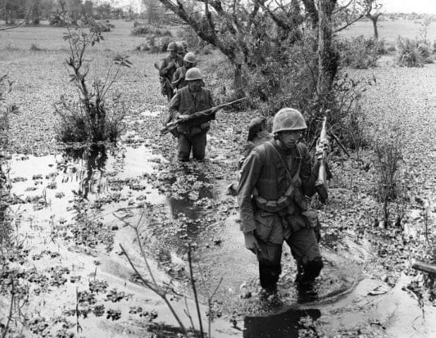 White House responsible for delayed decision on new Agent Orange diseases, documents show