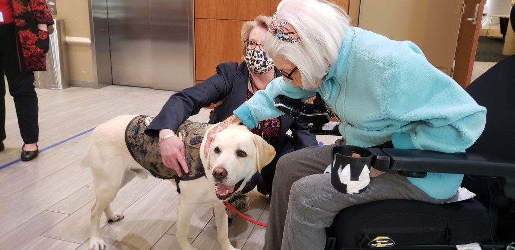 Hospital Corpsman First Class Sully unleashes healing power on veterans