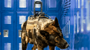 The Core K9 camera goes thermal