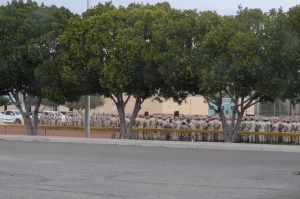 Marine at Arizona base tested positive for COVID-19 as large-scale ‘mission-essential’ exercise continues