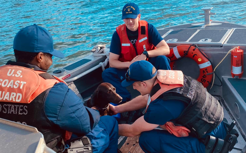 Pup overboard: Coast Guard rescues dog near North Carolina
