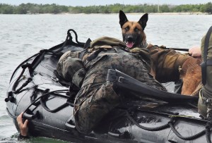 Marine Raider doggos make a h*ckin big splash with water casts off Key West