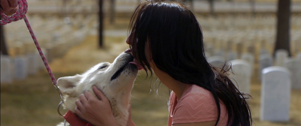 GI Film Festival in focus: Honor and Sacrifice