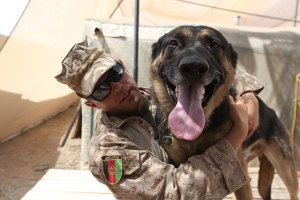 What it’s really like to be a dog handler in the US military