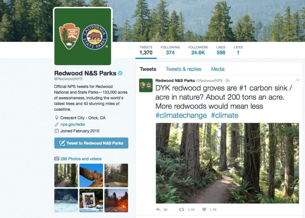 Feds bite back: Civil servants troll Trump, leak info