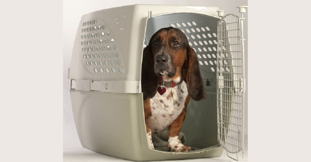 Will troops get reimbursed for shipping pets overseas in PCS?