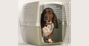 Will troops get reimbursed for shipping pets overseas in PCS?