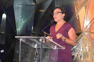 Joint venture program to partner private sector experts, federal agencies