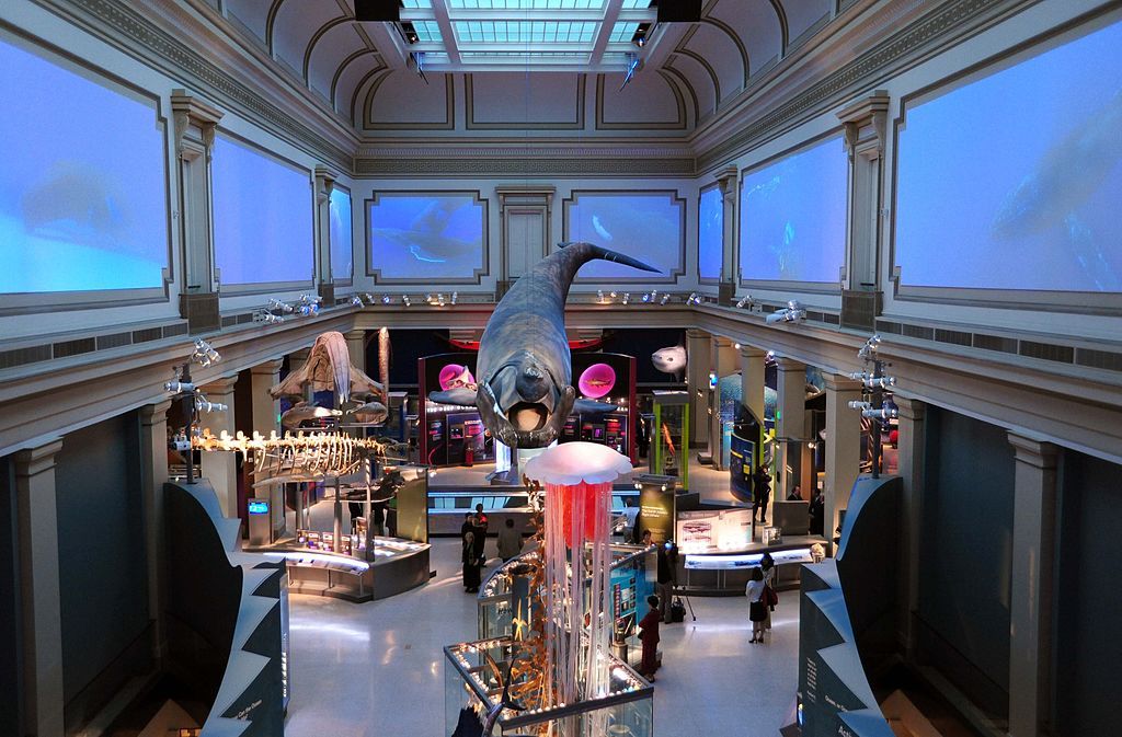 DC museums the whole family will love