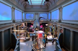 DC museums the whole family will love