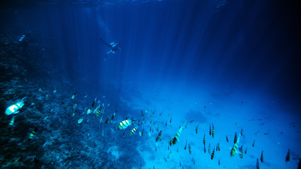Researchers want to use drones for ocean floor exploration